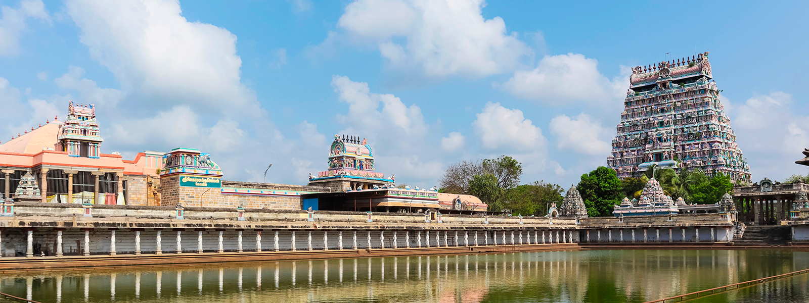 India del sud: spezie sacre e rituali antichi